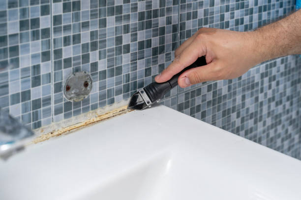 Reliable Newellton, LA Mold Removal Solutions